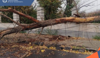 Քամու հետևանքով Երևան քաղաքում վնասվել են ծառեր և շինության տանիքներ
