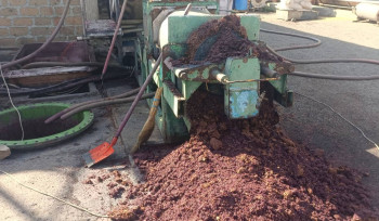 Կասեցվել է «Գրեգորիան» ՍՊԸ-ին պատկանող գինու արտադրամասի արտադրական գործունեությունը