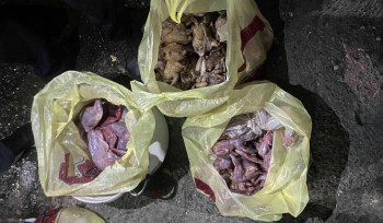 Երևանի բնակիչները Վայոց ձորում ապօրինի որսացել են 74 մոխրագույն կաքավ և 4 գորշ նապաստակ. ԲԸՏՄ