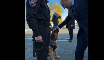 Ոստիկանության գվարդիայի ծառայողական շները. Փաշինյանը տեսանյութ է հրապարակել