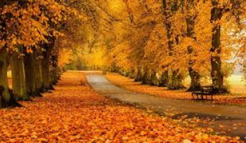 Նոյեմբերին միջին ջերմաստիճանը կանխատեսվում է նորմայի սահմաններում՝ դրական շեղումով. Լևոն Ազիզյան