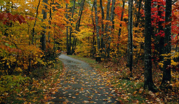 Սպասվում է առանց տեղումների եղանակ. օդի ջերմաստիճանն աստիճանաբար կբարձրանա