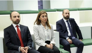 Արարատ Միրզոյանը Կոպենհագենում այցելել է «Կանաչ պետություն» ընկերություն