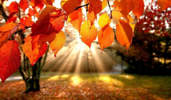 Առաջիկա ժամերից սկսած տեղումները ՀՀ տարածքում կդադարեն. Սուրենյան