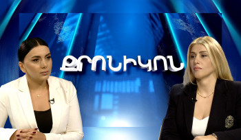 ՄԻԵԴ վճռով արձանագրվել է, որ իշխանությունը պահանջվող տվյալները պատշաճ չի տրամադրել. մենք այդպես էլ չենք հասնում մարտի 2-ին. Էլինար Վարդանյան (տեսանյութ)