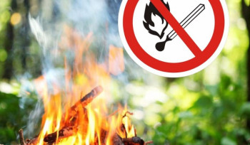 Քամոտ եղանակի հետևանքով էապես բարձրացել է հրդեհների առաջացման վտանգը․ «Դիլիջան» ազգային պարկ