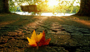 Օդի ջերմաստիճանը կբարձրանա