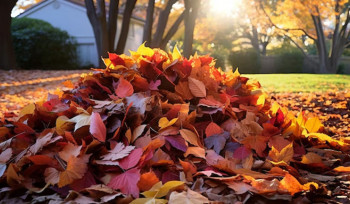 Տերևաթափից առաջացած թափոններն այրելն արգելվում է օրենքով. ԲԸՏՄ