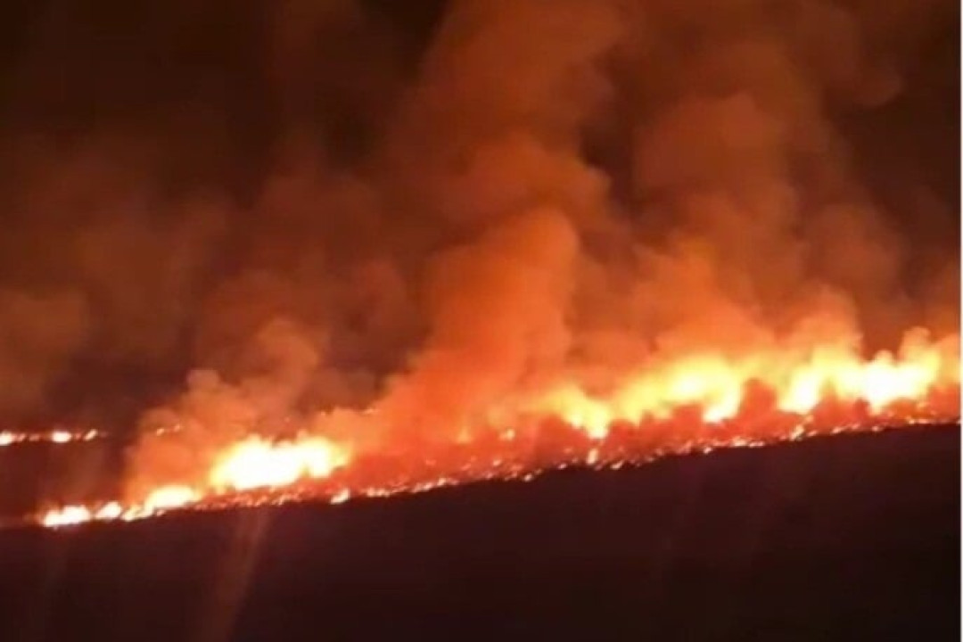 343 փրկարարական ծառայող, 6 հիմնական տեխնիկա և ՊՆ ուղղաթիռ, անօդաչու թռչող սարքեր. Ճամբարակ-Թթուջուր հատվածում բռնկված հրդեհի հրդեհաշիջման աշխատանքները շարունակվում են