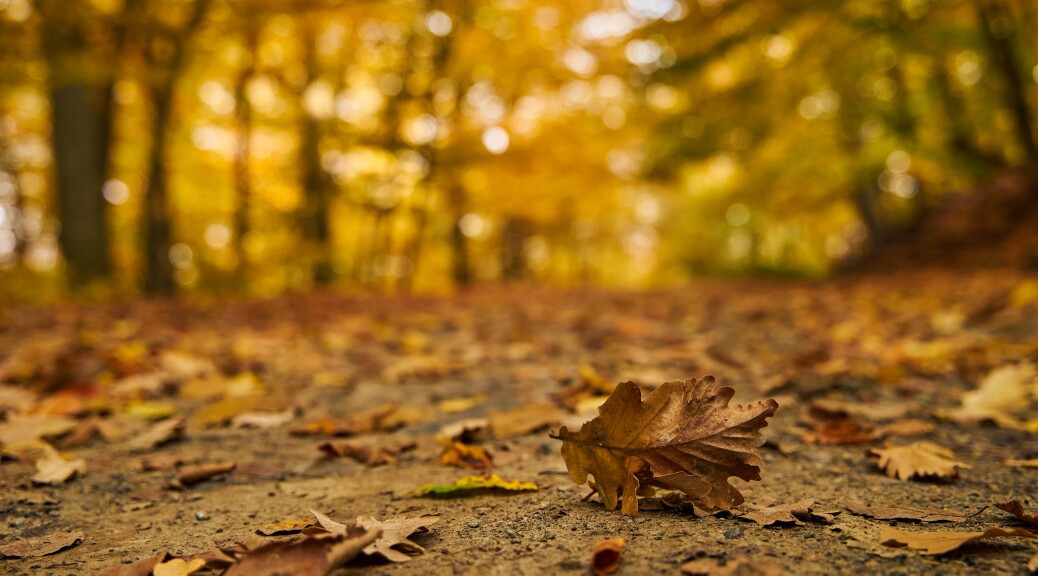 Սպասվում է առանց տեղումների եղանակ, օդի ջերմաստիճանն աստիճանաբար կնվազի 2-3 աստիճանով