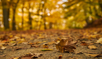 Սպասվում է առանց տեղումների եղանակ, օդի ջերմաստիճանն աստիճանաբար կնվազի 2-3 աստիճանով