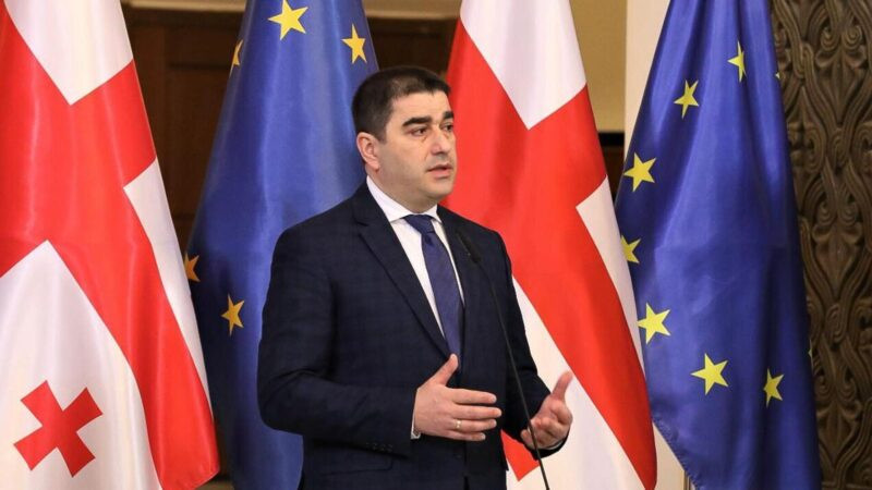 TRIPP-ը օգտակար կլինի ամբողջ տարածաշրջանի համար․ Վրաստանի խորհրդարանի նախագահ