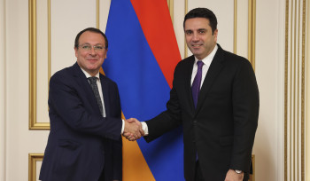 Ալեն Սիմոնյանը ԵԱՀԿ ԽՎ փոխնախագահի հետ քննարկել է Ադրբեջանում գտնվող գերիների, ապօրինի պահվող և անհետ կորած համարվող անձանց խնդիրը