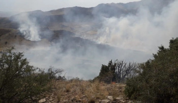 Մեկուսացվել է Նավուրի օջախը, Դիլիջանում հրդեհաշիջման աշխատանքները շարունակվում են․ ՆԳՆ-ից նոր մանրամասներ են հայտնում