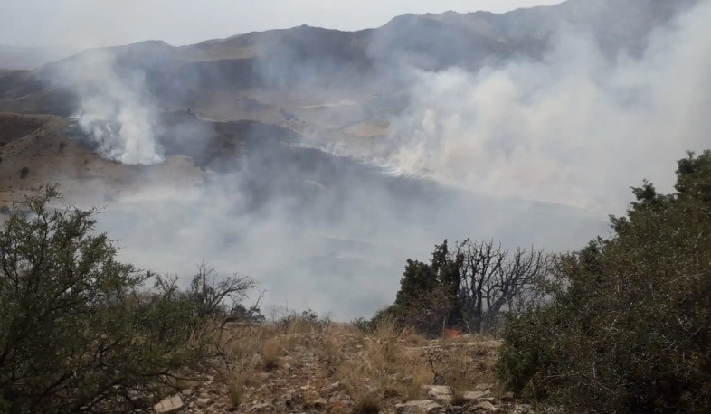 Դիլիջանի ոլորանների և «Լեռնային Հայաստան» առողջարանի մոտակա անտառային հատվածներում բռնկված հրդեհները ամբողջությամբ մեկուսացված են