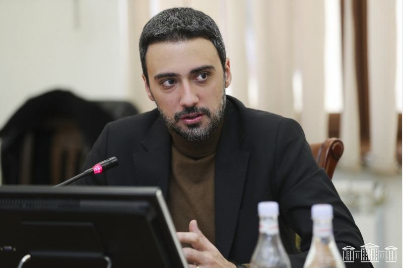 Հայաստանում քաղաքական պատվերի արդյունքում կիրառվում է միայն կալանքը․ Վարդևանյան