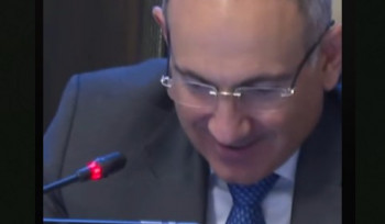 Տիկին Ավանեսյան, Կառավարության կեսը հիվանդ է, էս ո՞նց եք աշխատում, այսպես չի լինի․ Փաշինյան