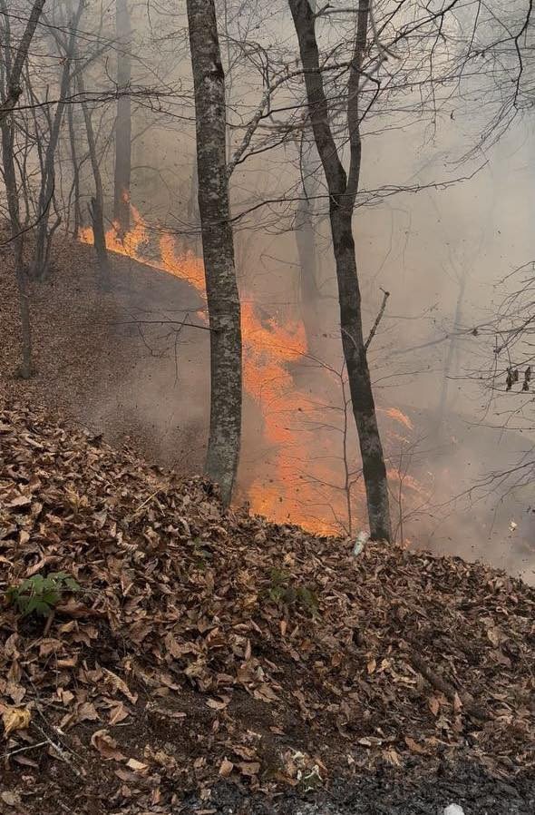 74 քաղաքացու նկատմամբ այրումների համար հարուցված վարչական վարույթներով կիրառվել են պատասխանատվության միջոցներ․ ԲԸՏՄ