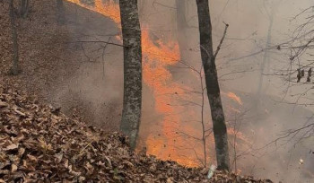 74 քաղաքացու նկատմամբ այրումների համար հարուցված վարչական վարույթներով կիրառվել են պատասխանատվության միջոցներ․ ԲԸՏՄ