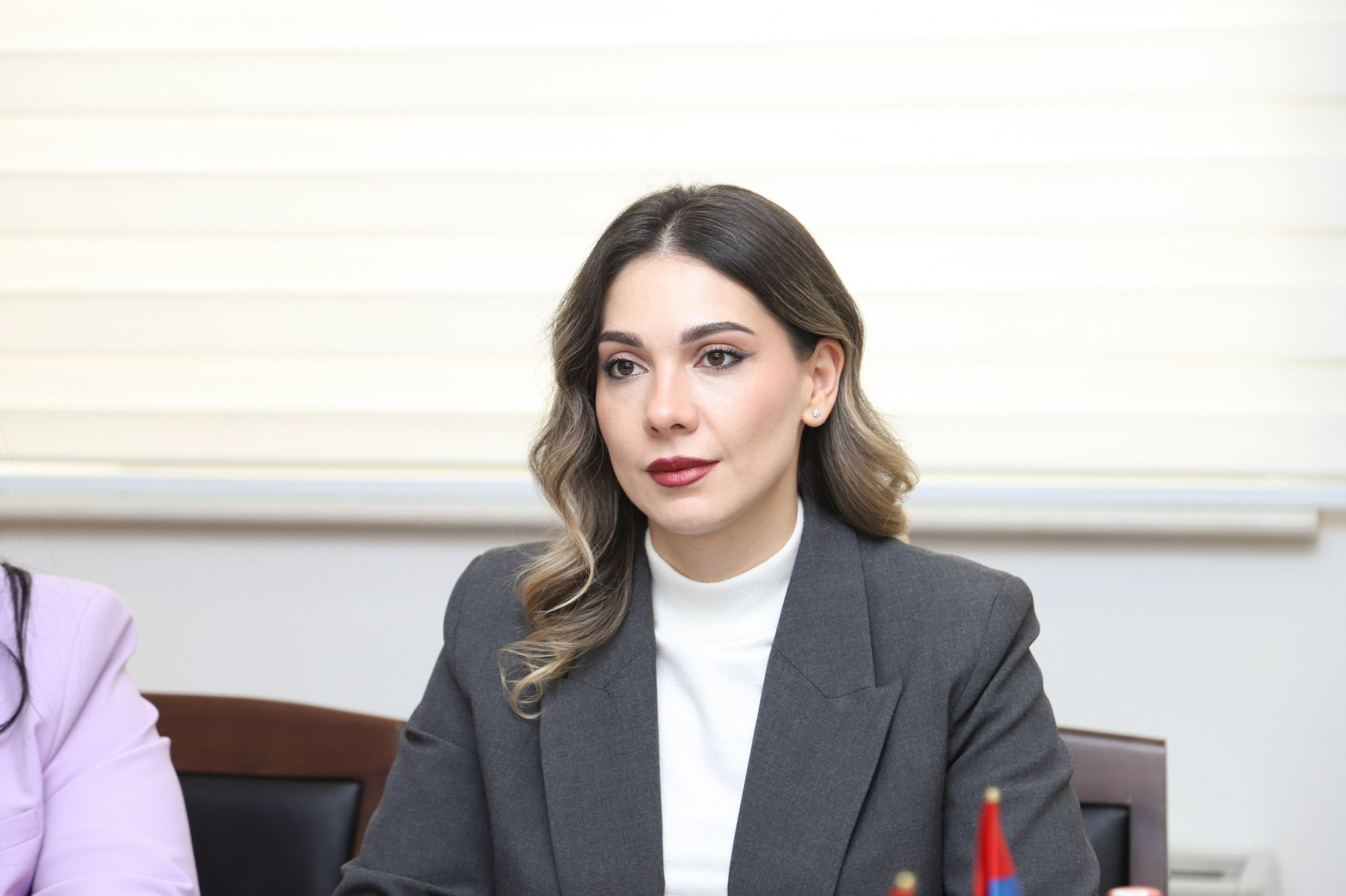 Սահմանադրության նոր տեքստը պետք է պատրաստ լինի մարտ ամսին․ Սրբուհի Գալյան