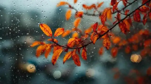 Ձյուն և ձնախառն անձրև․ ինչ եղանակ է սպասվում առաջիկա շաբաթ