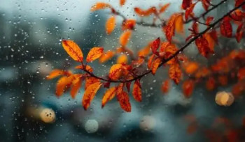 Ձյուն և ձնախառն անձրև․ ինչ եղանակ է սպասվում առաջիկա շաբաթ