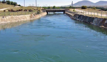 Արմավիրում՝ ջրատարում,  հայտնաբերվել է որպես անհետ կորած որոնվող կնոջ դին