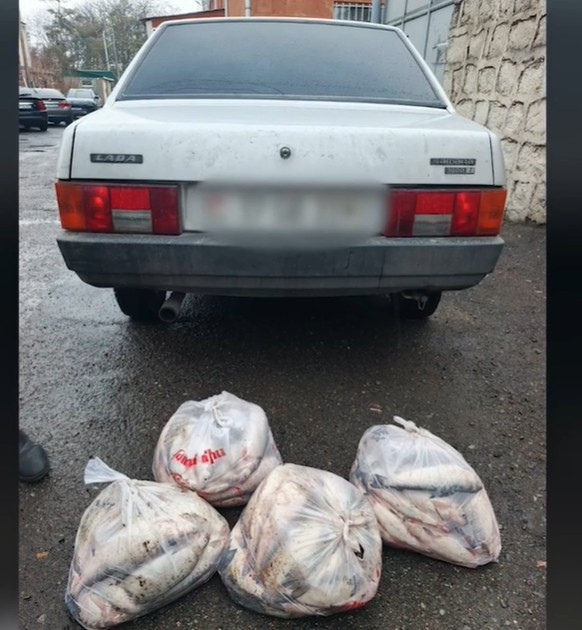 Ջրային պարեկները հայտնաբերել են 110 հատ ընդհանուր 49.6 կիլոգրամ սիգ տեսակի ձուկ