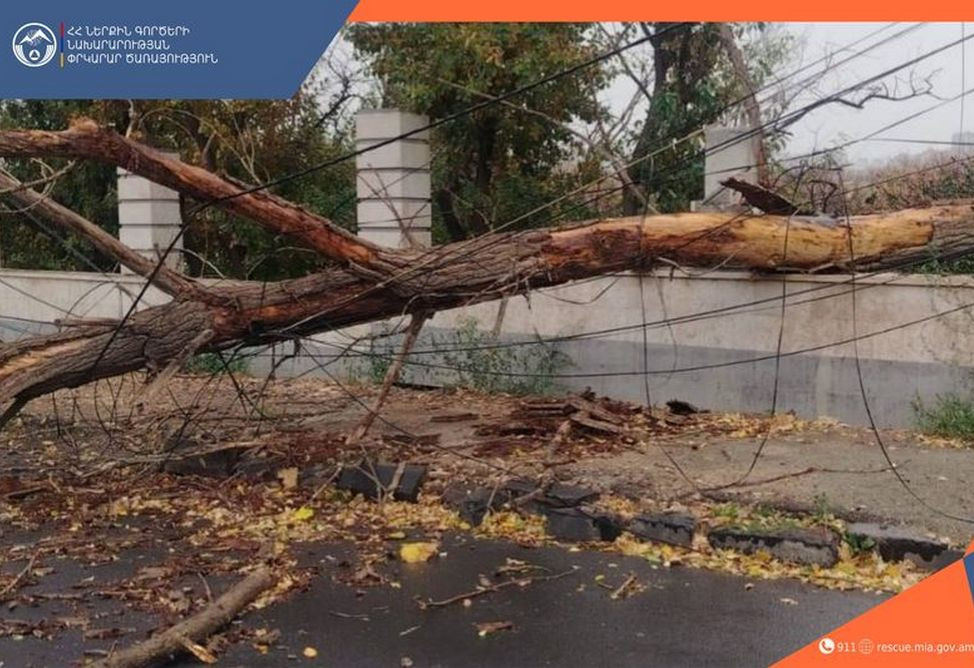 Քամու հետեւանքով ծառեր, սյուներ են տապալվել Երևանում, Արագածոտնում, Կոտայքում, Լոռիում