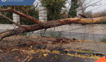 Քամու հետեւանքով ծառեր, սյուներ են տապալվել Երևանում, Արագածոտնում, Կոտայքում, Լոռիում