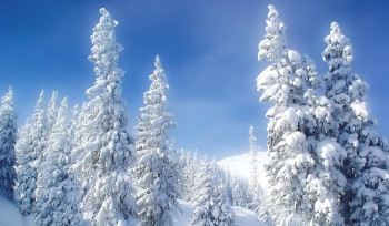 Առաջիկա 10 օրերին էլ ձյուն չի լինի, հանրապետության ողջ տարածքում կլինի պարզ երկինք և առանց տեղումների եղանակ. Գագիկ Սուրենյան
