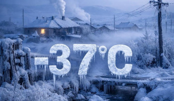 -37 աստիճան սառնամանիք. Սուրենյանը մանրամասներ է հայտնում հանրապետությունում սառնամանիքների մասին