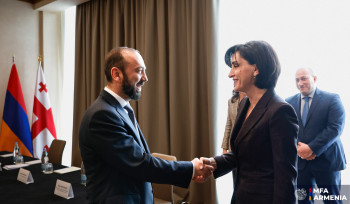 Արարատ Միրզոյանը հանդիպում է ունեցել Վրաստանի Արտաքին գործերի նախարարի հետ