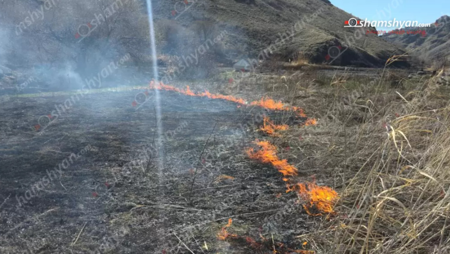 Հրդեհ՝ Կարբիի ձորում