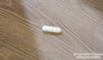 ՔԿԾ օպերատիվ վարչության ծառայողները կանխել են թմրամիջոցի ներթափանցումը «Գորիս» ՔԿՀ