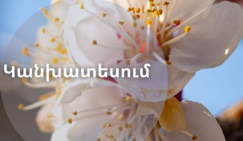 Ծիրանենու մասսայական ծաղկումն Արարատյան դաշտում սպասվում է մարտի 27-ից ապրիլի 02-ն ընկած ժամանակահատվածում