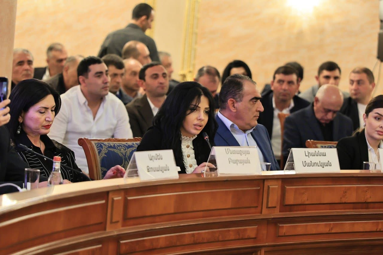 «Առաջարկ Հայաստանին» նախագծի  համակարգող խորհրդի անդրանիկ նիստին կարևորվել է երիտասարդների ներգրավվածությունը. Լիաննա Մանուկյան