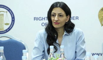 Ես ինքս որպես մարդու իրավունքների պաշտպան, մտահոգություններ ունեմ այս դեպքով ազատազրկման հետ կապված. Մանասյանը՝ կալանավորված 18-ամյա Դավիթի մասին