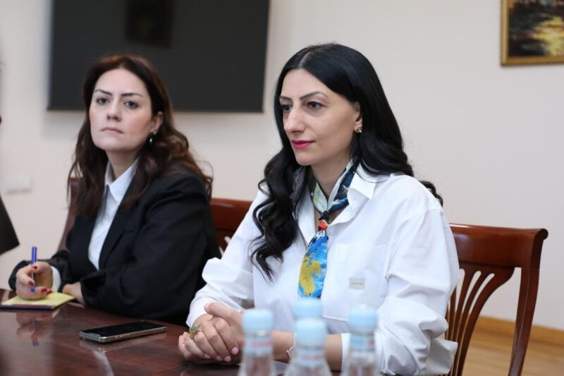 Անահիտ Մանասյանն անդրադարձել է մարզային բնակավայրերում նախադպրոցական ուսումնական հաստատությունների սակավ լինելու խնդրին
