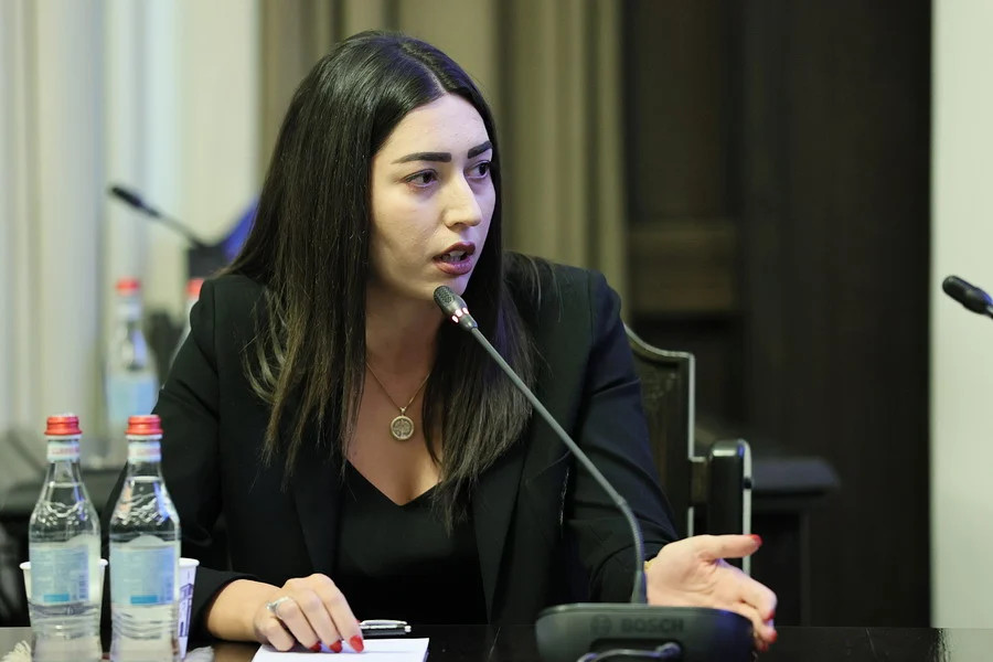 Վիզաների ազատականացումը դեպի ԵՄ երկրներ արտագաղթի չի հանգեցնի. Արփինե Սարգսյան