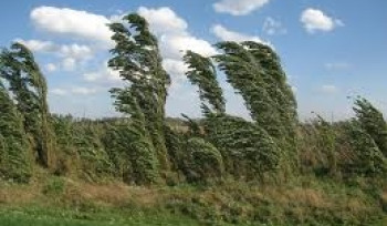 Լոռիում, Շիրակում, Արագածոտնի, Կոտայքի և Վայոց ձորի լեռնային շրջաններում սպասվում է քամու ուժգնացում