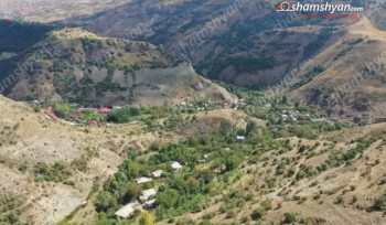 Հերմոն բնակավայրում արջը հшրձակվել է գյուղացու անասունների վրա՝ պատճառելով զգալի վնաu