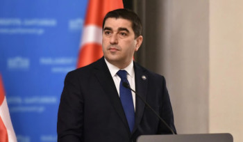 Վրաստանում ԵՄ դեսպանից ներողություն են պահանջել