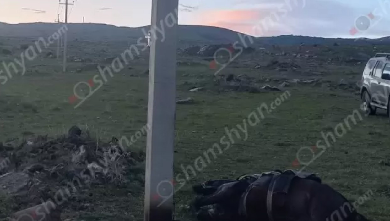 Կաքավաձոր գյուղում հովիվը հրաշքով է փրկվել, իսկ ձին ու գառը հոսանքահարվել ու սատկել են