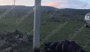 Կաքավաձոր գյուղում հովիվը հրաշքով է փրկվել, իսկ ձին ու գառը հոսանքահարվել ու սատկել են