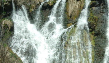 Շաքի գետից իրականացրել է ջրառ․ ընկերության տնօրենը կենթարկվի վարչական պատասխանատվության