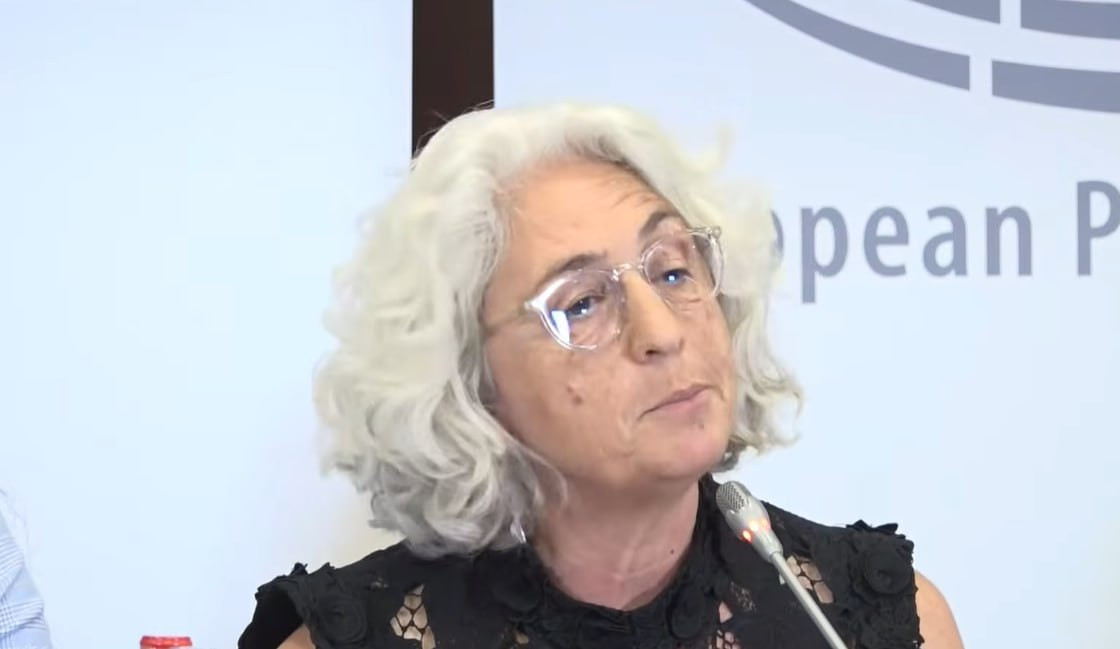 Քարոզարշավի ընթացքում պետական ապարատի ներկայացուցիչների վրա ճնշումները մեծ մտահոգություններ են առաջացնում․ ԵԱՀԿ դիտորդ