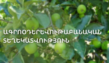 Լեռնային շրջաններում դիտված կարկուտը որոշ չափով վնասել է գյուղատնտեսական մշակաբույսերը