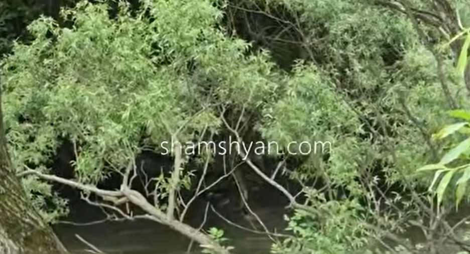 Փամբակ գետում հայտնաբերվեց ջրահեղձ եղած 7-ամյա աղջնակի մարմինը