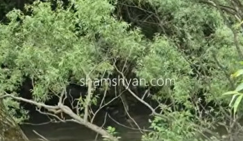 Փամբակ գետում հայտնաբերվեց ջրահեղձ եղած 7-ամյա աղջնակի մարմինը